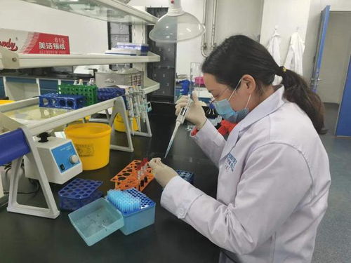 胜利曙光出现 中国科研团队发现新冠病毒抗体,疫苗研发加速